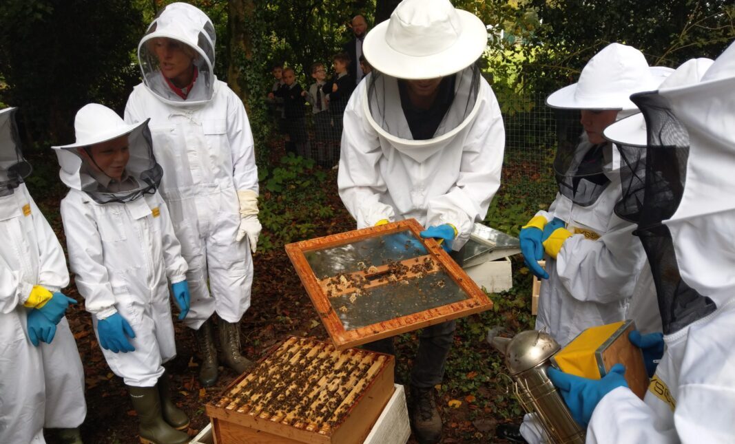 Bee keepers with a hive